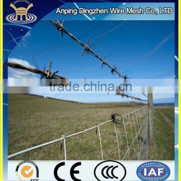 standard barbed wire philippines lowest price galvanzied barbed wire