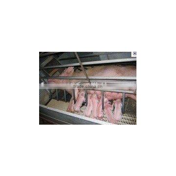 farrowing stall