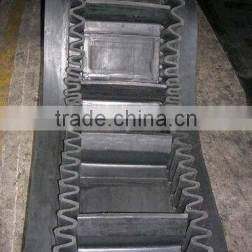 chain Conveyer