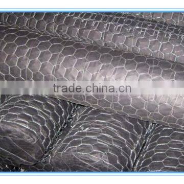 PVC Coated Hexagonal Wire Mesh/Plastic Coated Hexagonal Wire Mesh Made in China photo-6