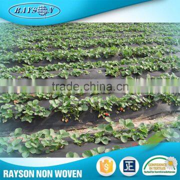 17~70g/m2 Biodegradable Weed Control PP Non Woven Weed Mat photo-4