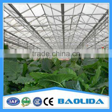 Galvanized Steel Pipes Greenhouse Structure For Sale photo-2