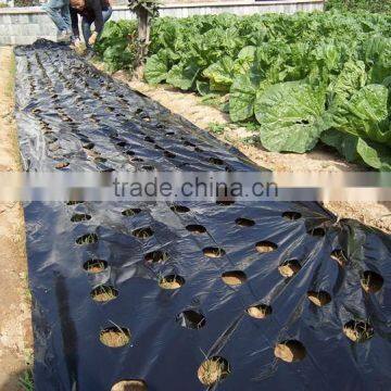 Plastic agricultural perforated film with holes for seeding growth