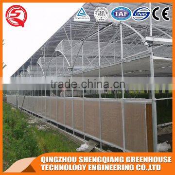 Multifunction Plastic Film Greenhouse for Vegetables Planting,flowers,culture photo-6