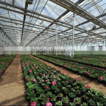 The Sunlight Greenhouse for Flowers photo-2
