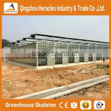 Heracles Trade Assurance Greenhouse Equipment- Venlo Type Glass Panels Greenhouse for Sale photo-3