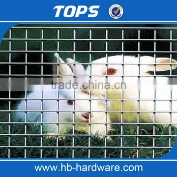 concrete welded wire mesh/chicken wire mesh