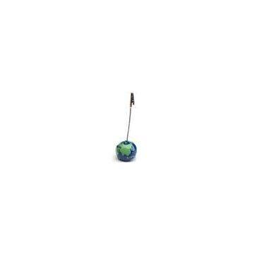 GLOBE PHOTO CLIP
