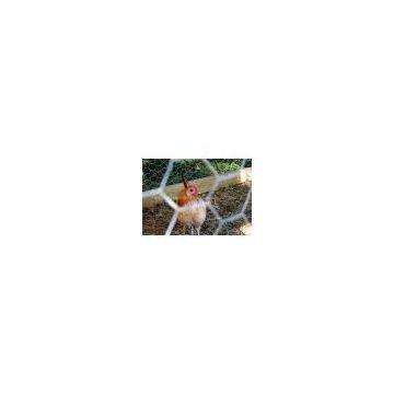 Hexagonal Wire Netting with BWG17-BWG25