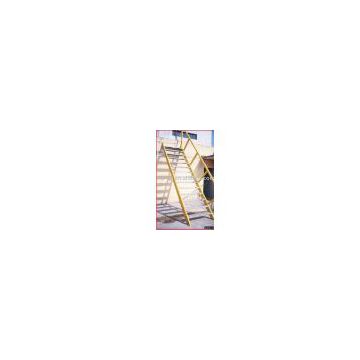 Protruded FRP ladders