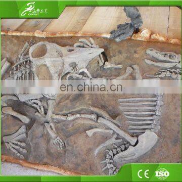Attractive Dinosaur Skeleton Model Made by China Manufactory photo-3