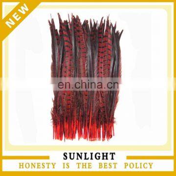 Wholesale Lady Amherst Pheasant Feather for Carnival Costume