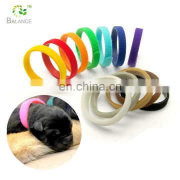 Dog Puppy Pet New born Magic Tape ID Band Collar