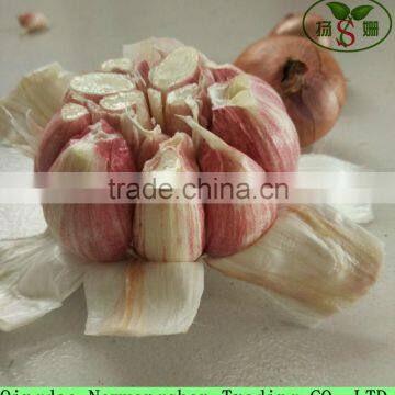 2016 Chinese Garlic Popular In Pakistan Purple/Red/Pure White garlic