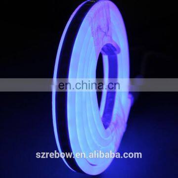 Shenzhen IP68 Double Sided Blue 2835 24v Led Flexible Neon Strip Light photo-3