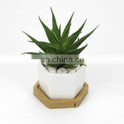 Decorative White Hexagonal Ceramic Succulent Cactus Flower Pot With Wooden Tray Ceramic Flower Planter photo-4
