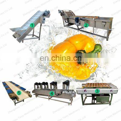 Factory  price good quality vegetable air bubble fruit washing and drying  production line