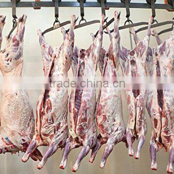 Frozen Lamb and Mutton Meat photo-5