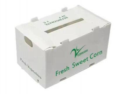 Polypropylene Storage Box photo-2
