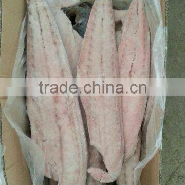 Frozen mahi-mahi fillets and Coryphaena hippurus