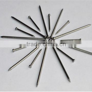 Iron Common Nail for Construction Use