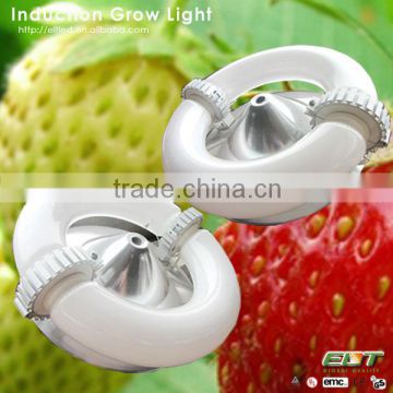 indoor grow tent plant induction lamp and led grow light bulb