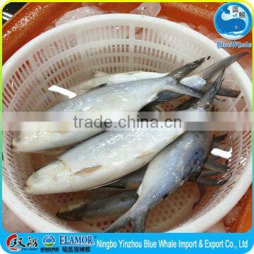 Juicy milkfish East Ocean Seafood Seafood specialty food