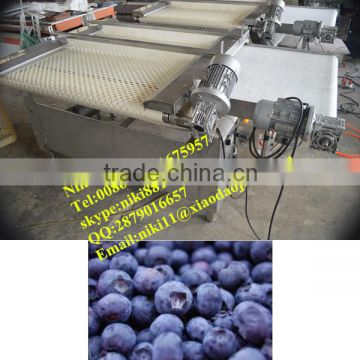 blueberry processing machine,inspection machine.blueberries process line