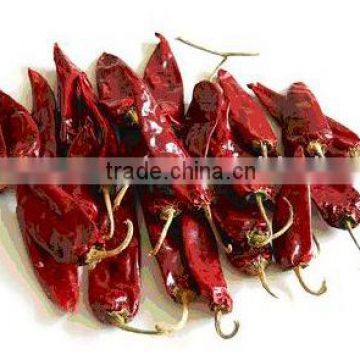 dry red chillies