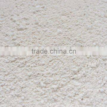 Grade A Garlic Granules Approved With FDA/QS/ISO/HACCP/KOSHER photo-4