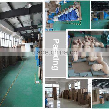 High Quality Small Size Human Chinese Acupuncture Model 26cm photo-4