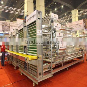 commercial bird cage for chick cage/chick layer cage/layer chick cage