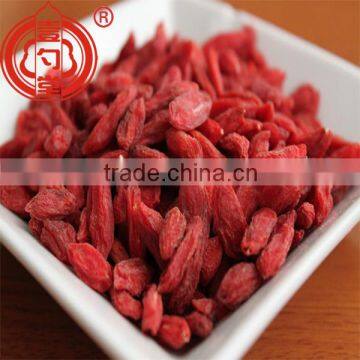 Berry goji certified organic ningxia goji berry in dried fruit with low price