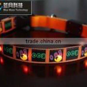 High Quality Led Light Dog Collar