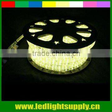 "Twinkling" LED Rope Light soft White outdoor lighting