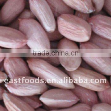 Chinese biggest new crop peanut kernel 24/28