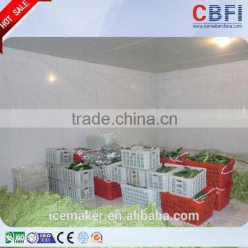 Low Temperature Cold Room Freezer for Fast Cooling photo-6