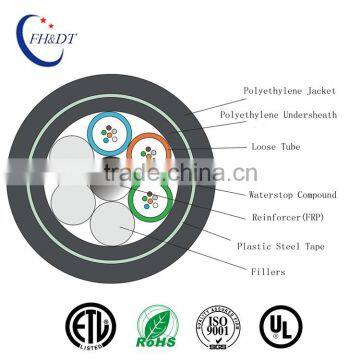 6 8 12 24 36 48 72 96 144 Cores Armored GYFTY53 Fiber Optic Cable Price Per Meter                        
                                                Quality Choice
                                                    Most Popular