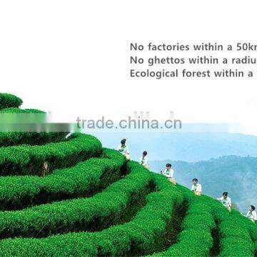 Health Chinese Aluminum Foil Bag Green Tea photo-5