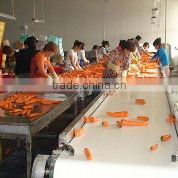 Hot Sell IQF Frozen Carrot Price Frozen Diced Carrot photo-6
