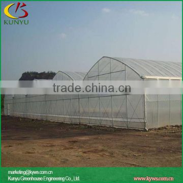 Agricultural plastic film for greenhouse, greenhouse plastic film