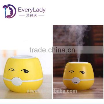 EveryLady cute moisturizing mini steam humidifier