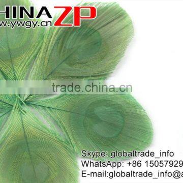 CHINAZP Bulk Sale Selected Prime Quality Colored Mint Green Trimmed Peacock Feathers Eyes for Sale photo-2