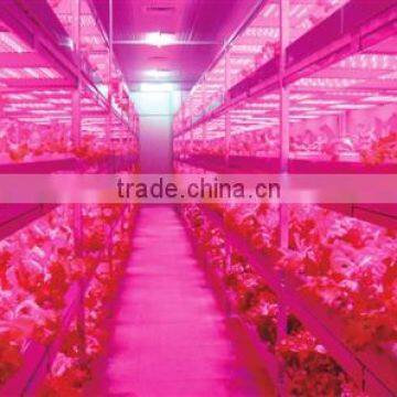 Led Grow Light Full Spectrum Hydroponic Low Power Flower Grow Light