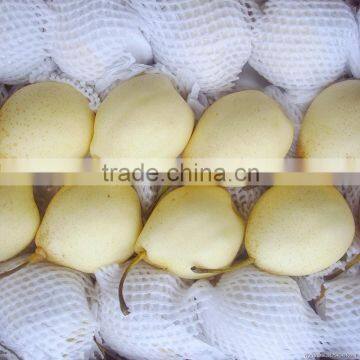 Fresh ya Pear&new Crop&the Most Lowest Price photo-3