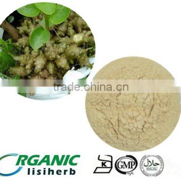 100% Natural panax notoginseng (sanqi )Extract with low price