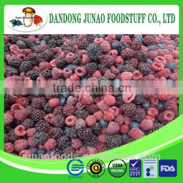IQF Fruit Mixture Grade A photo-2