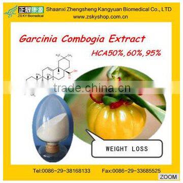 GMP Manufacturer supply 100% Natural and good quality Garcinia Cambogia Fruit Extract powder