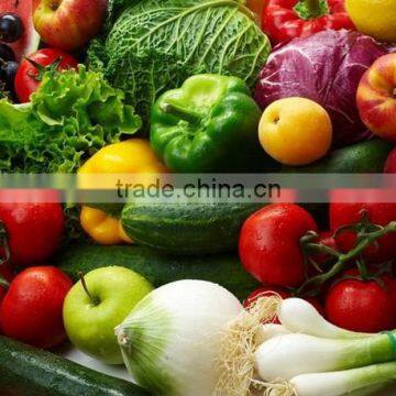 Chinese Indrustrial Stainless Steel High Pressure Ozone Vegetable and Fruit Washer photo-6