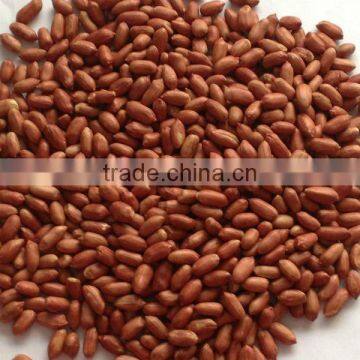Chinese Red Skin Peanut Kernel (24/28) photo-1